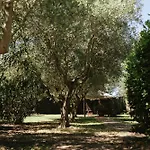 Chiara Porto Recanati