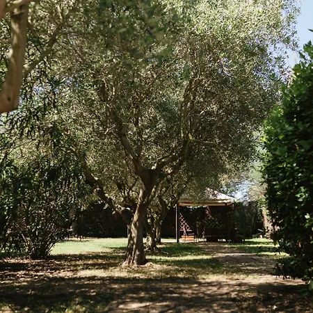 Chiara Porto Recanati